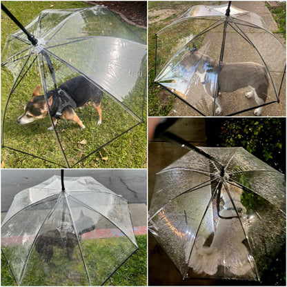 Dog Umbrella