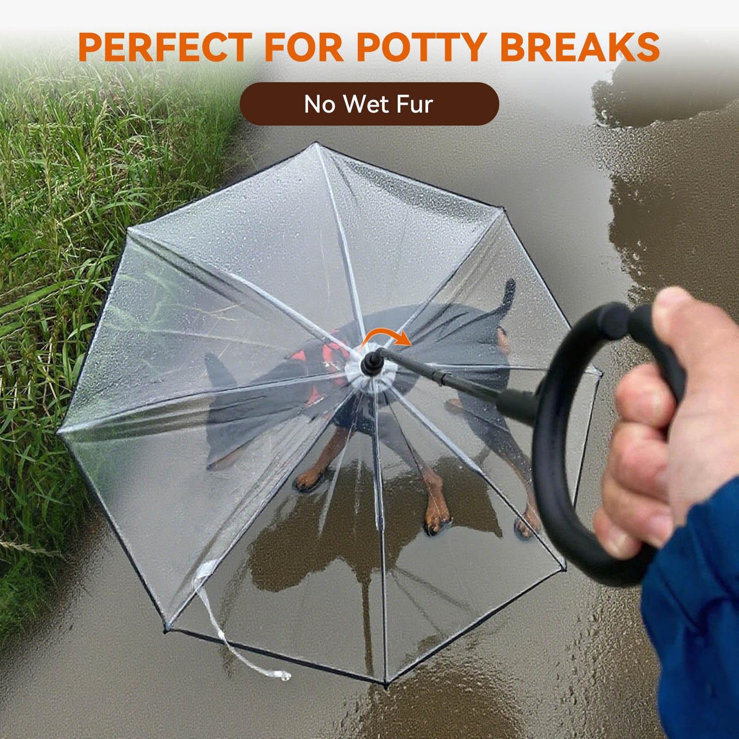 Dog Umbrella